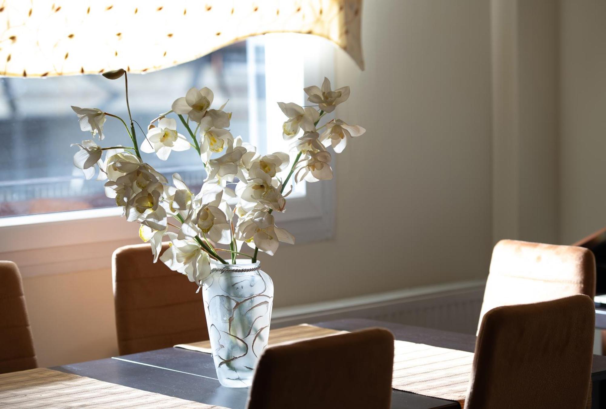 Apartment άνεση και ευκολία, σπίτι συκιές. Thessaloniki